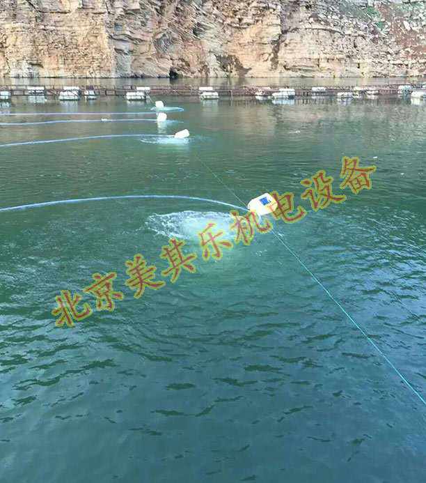 高压鼓风机在纳米微孔增氧中的优势