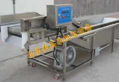 高压鼓风机配套气泡清洗机