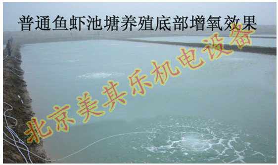 高压鼓风机增氧效果图